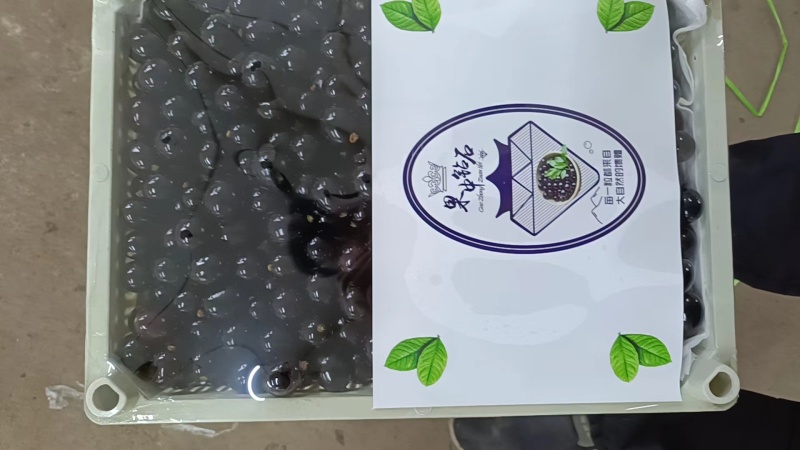 嘉宝果/树葡萄/珍宝果大量供应中规格齐全品质保障