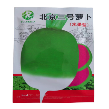 北京三号萝卜种子心里美萝卜种子