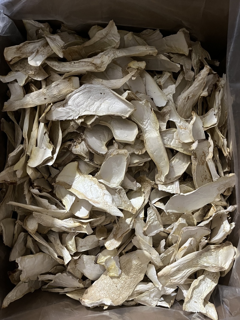 杏鲍菇根大量供应菌汤包专用欢迎下单