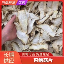 【杏鲍菇】杏鲍菇片产地直发可视频看货对接全国市场