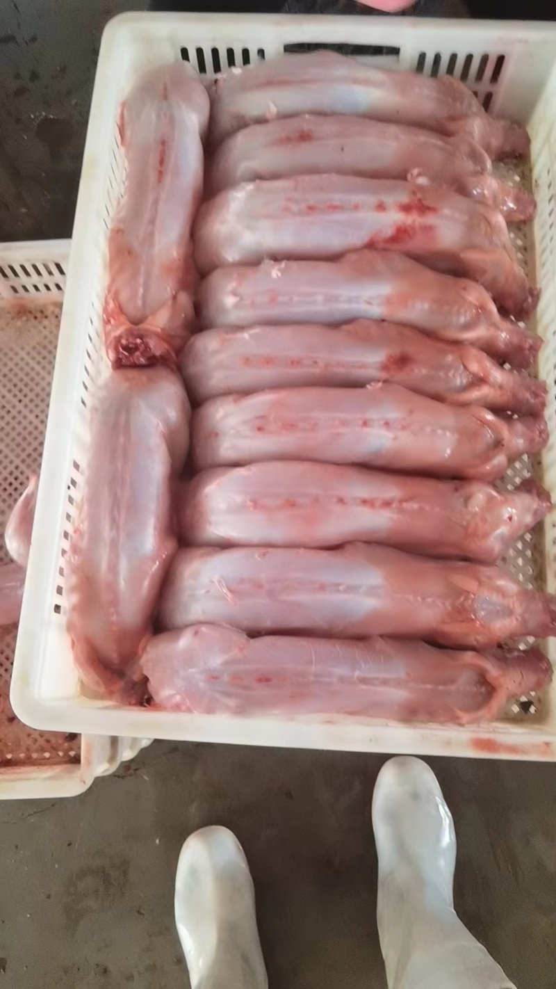 【精选】兔肉大量供应规格齐全欢迎全国各地老板咨询采购