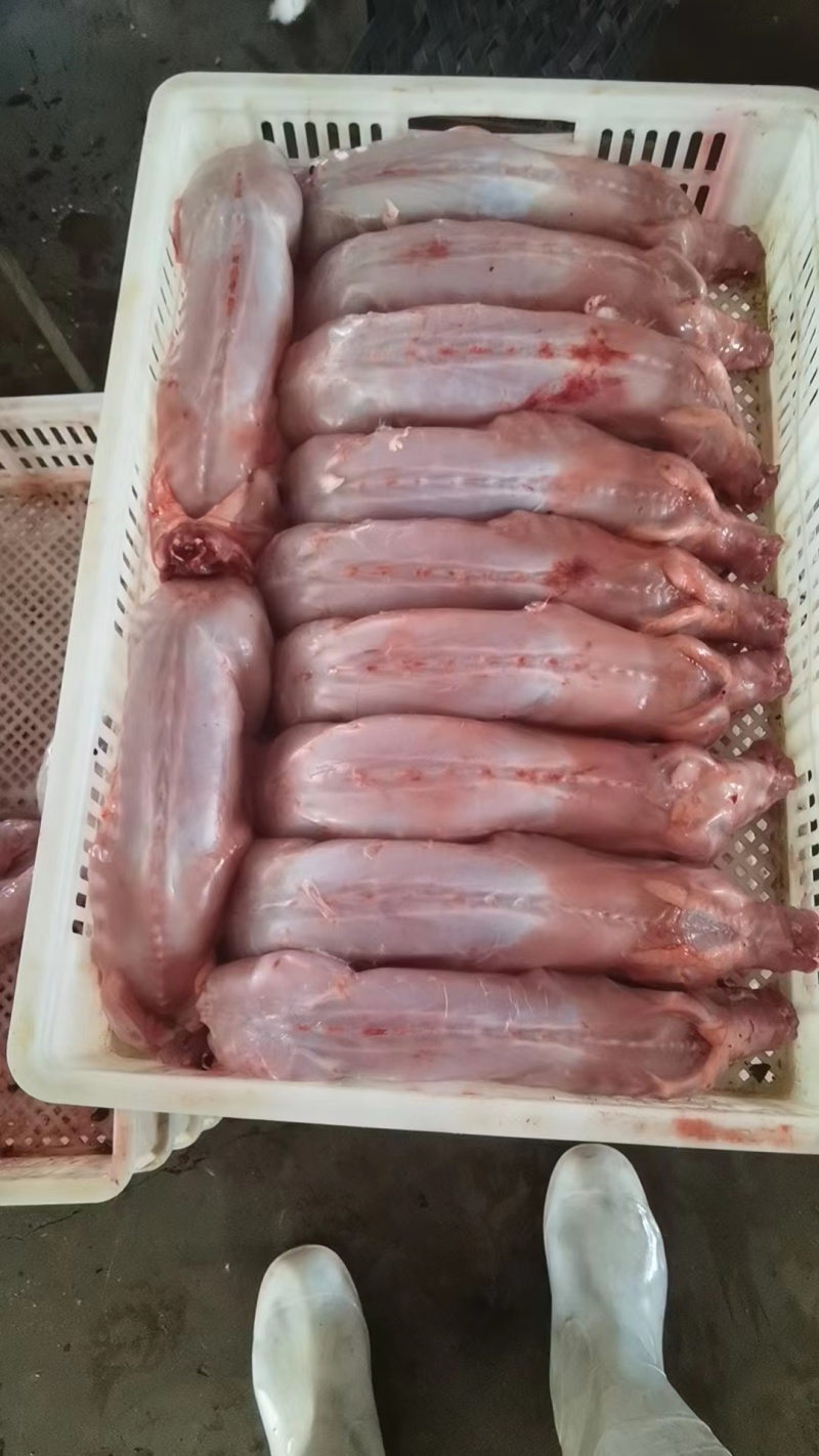【精选】兔肉大量供应规格齐全欢迎全国各地老板咨询采购