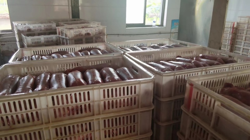 【精选】兔肉大量供应规格齐全欢迎全国各地老板咨询采购