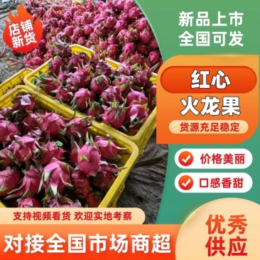 【火龙果】红心火龙果广西火龙果产地直发对接全国市场