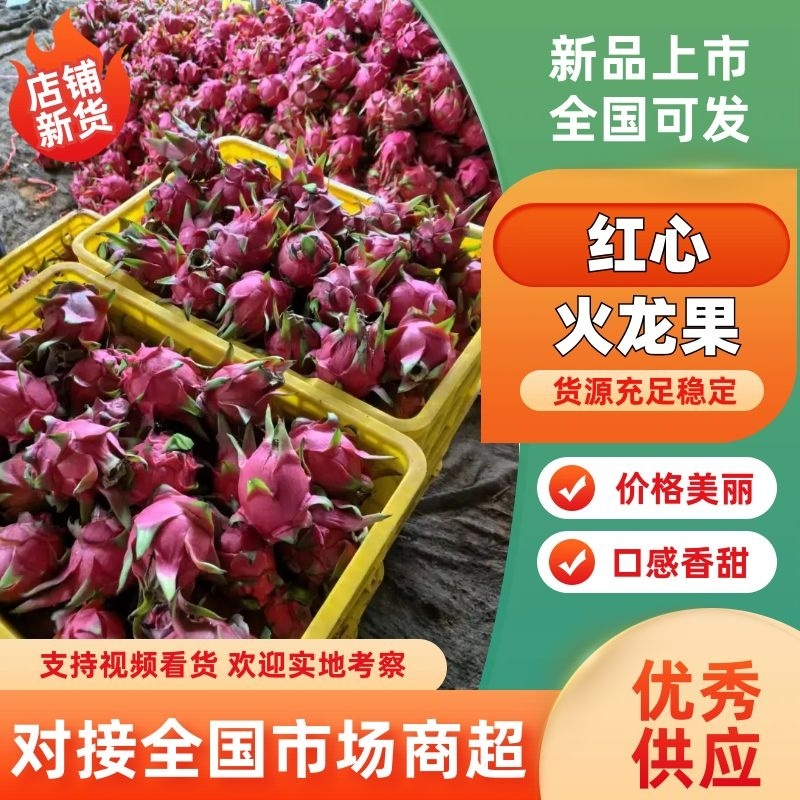 【火龙果】红心火龙果广西火龙果产地直发对接全国市场