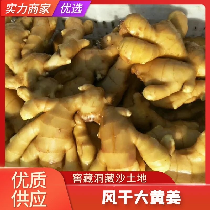 大黄姜，老姜水洗风干，沙土地大黄姜小黄姜全国发货