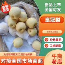 净树皇冠梨大量批发皮薄肉多质量保证全国发货