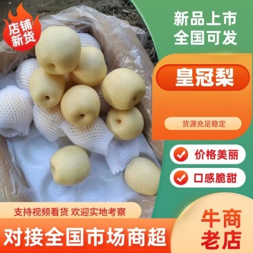 净树皇冠梨大量批发皮薄肉多质量保证全国发货