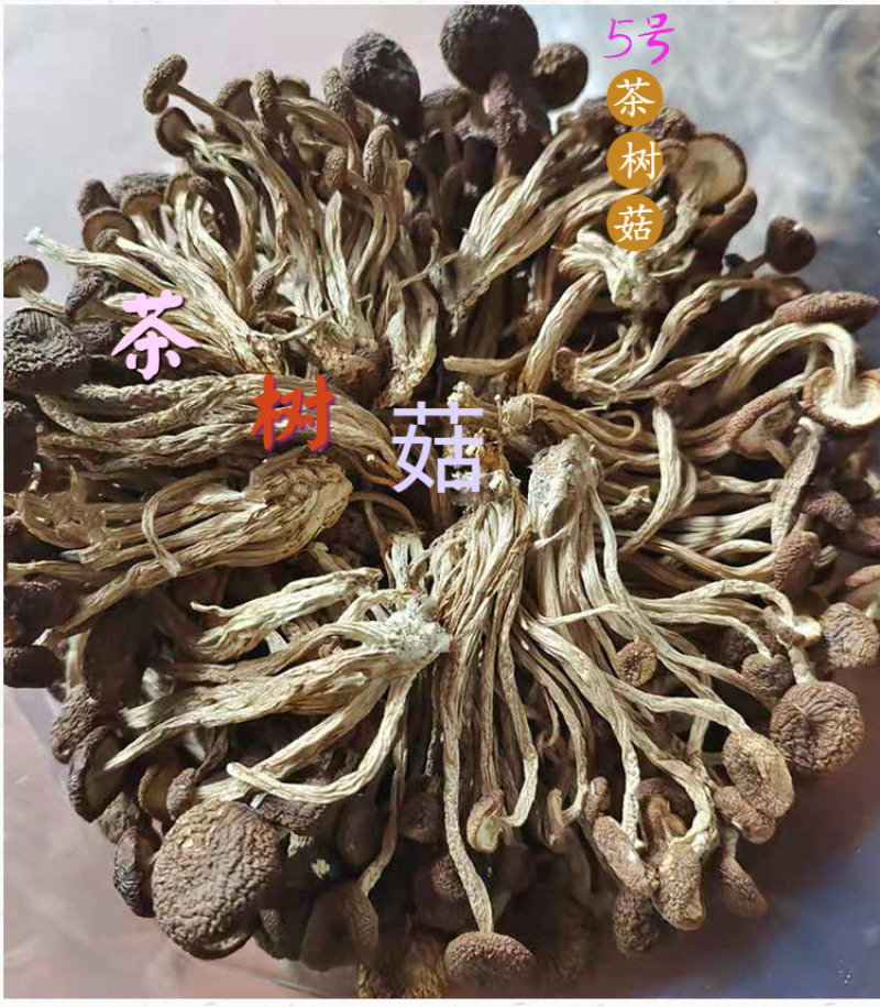 茶树菇开伞的不开伞的产地直销一手货源规格齐全