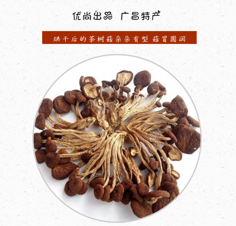 茶树菇开伞的不开伞的产地直销一手货源规格齐全