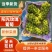 河北阳光玫瑰葡萄个头均匀皮薄汁多十克起步玫瑰香
