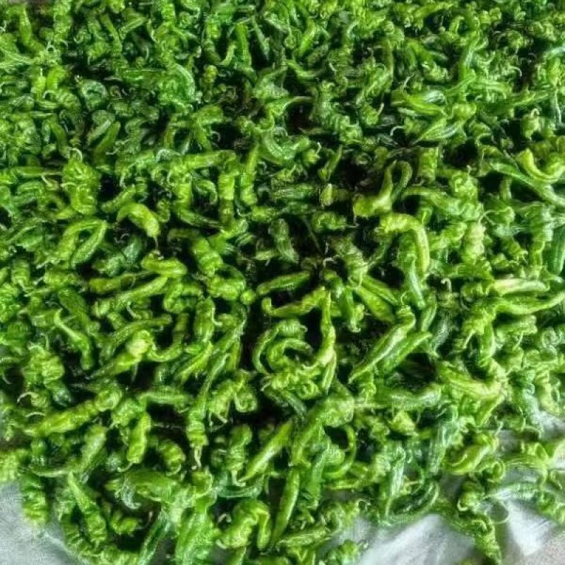 精品薄皮青椒基地直发一手货源品质保障欢迎咨询联系