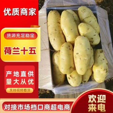 土豆、精品土豆，荷兰沃土V7规格齐全表面光滑全国发货
