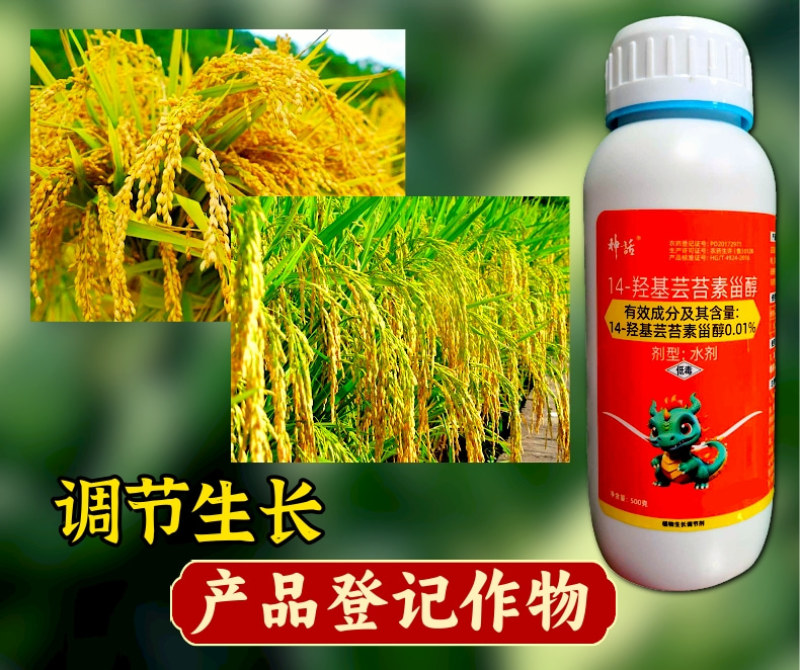 0.01%14羟基芸苔素高含量促根系增强光合作用调节生长
