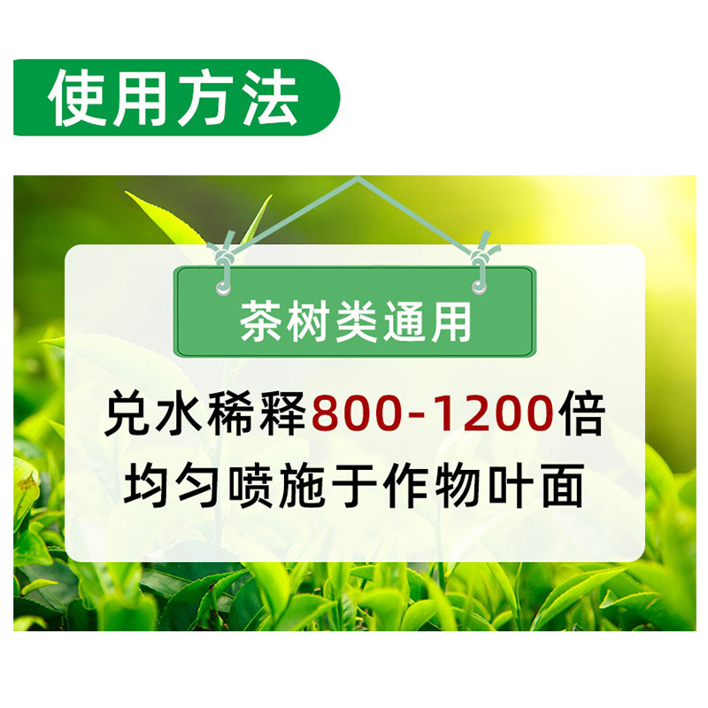 茶叶壮芽素水溶肥中量元素催芽防冻抗病抗逆促根发达唤醒植物
