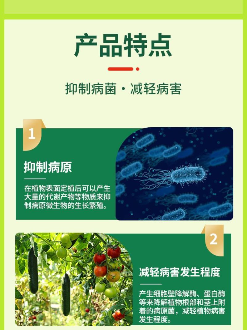 番茄疫菌全清炭疽灰霉白粉果腐黑斑早疫病毒专用复合微生物肥
