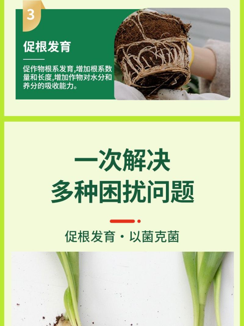 番茄疫菌全清炭疽灰霉白粉果腐黑斑早疫病毒专用复合微生物肥