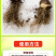 番茄疫菌全清炭疽灰霉白粉果腐黑斑早疫病毒专用复合微生物肥