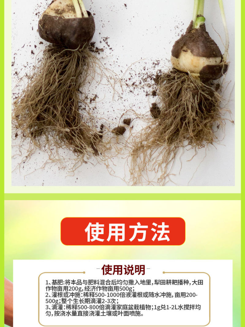 番茄疫菌全清炭疽灰霉白粉果腐黑斑早疫病毒专用复合微生物肥