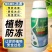 植物防冻液抗冻剂苗木防寒过冬果树蔬菜低温抗冻防冻剂植物防