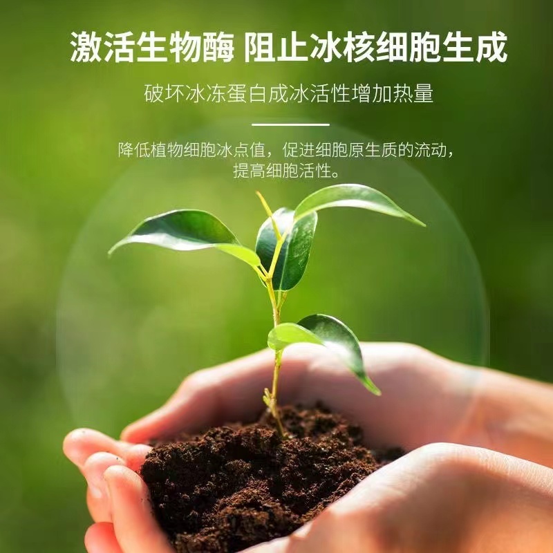 植物防冻液抗冻剂苗木防寒过冬果树蔬菜低温抗冻防冻剂植物防