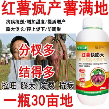 红薯地下猛长膨大素红薯控旺增产防裂果控旺膨大素叶面肥膨大