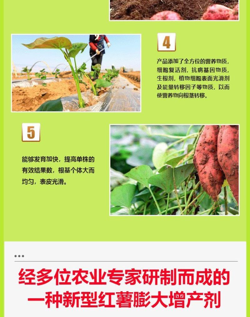 红薯地下猛长膨大素红薯控旺增产防裂果控旺膨大素叶面肥膨大
