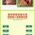 红薯地下猛长膨大素红薯控旺增产防裂果控旺膨大素叶面肥膨大