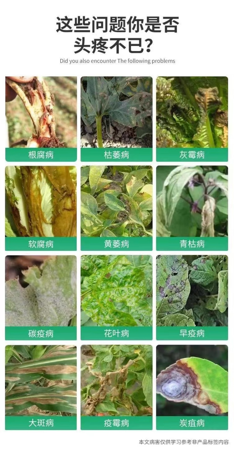 通用型菌立清疫霜霉病白粉稻瘟病锈病真菌细菌病毒杀微生菌剂