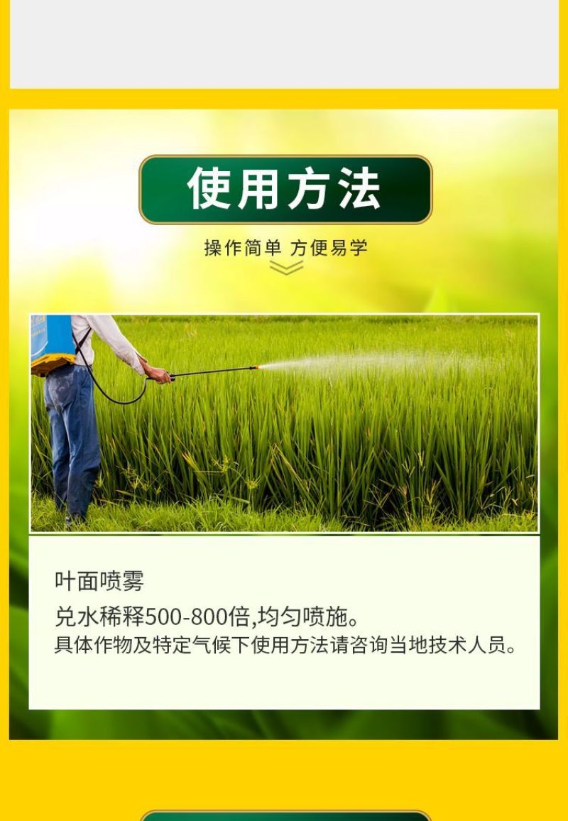 辣椒疫病清辣椒卷叶快速炭疽黄叶枯萎根腐软腐快速杀菌微生物