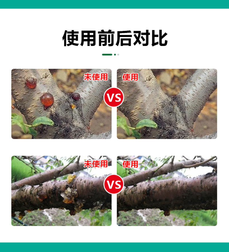 流胶一喷净果树花椒桃树流胶病专用真菌细菌溶解剂微生物菌剂