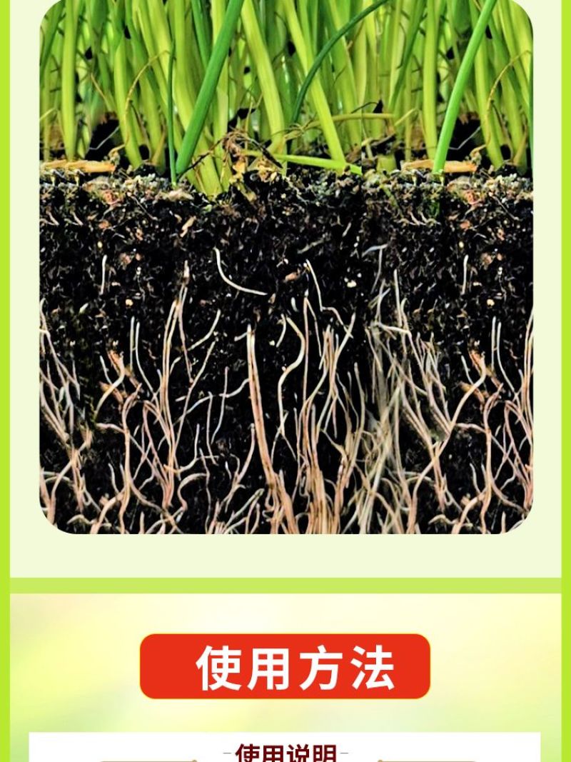 土传病菌清土壤杀菌防治病害防根腐微生物菌剂调理土壤