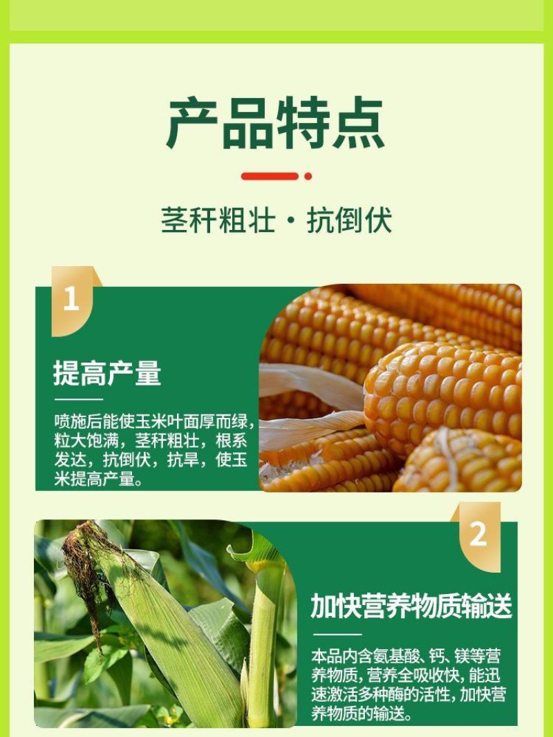 玉米金大棒促根壮苗促早熟强株耐旱涝抗倒伏专用氨基酸水溶肥