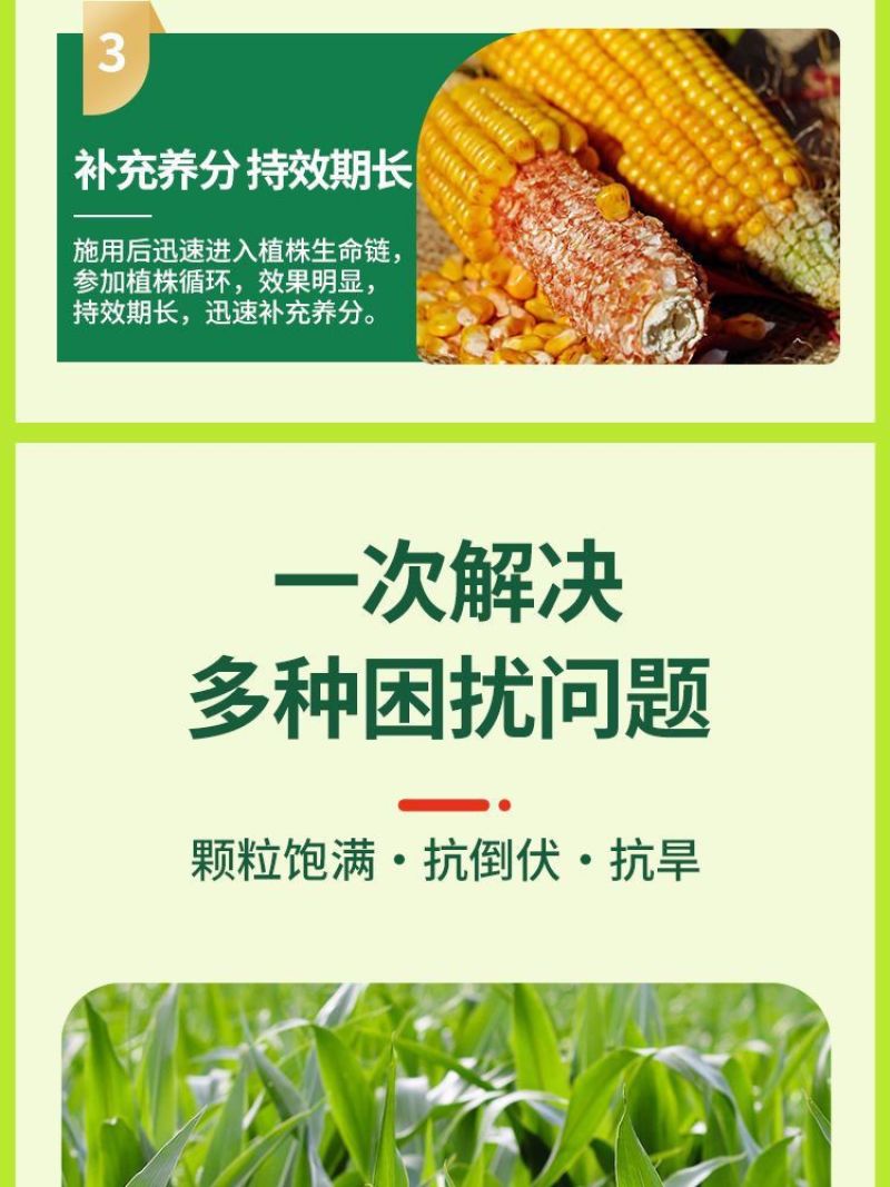 玉米金大棒促根壮苗促早熟强株耐旱涝抗倒伏专用氨基酸水溶肥