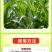 玉米金大棒促根壮苗促早熟强株耐旱涝抗倒伏专用氨基酸水溶肥
