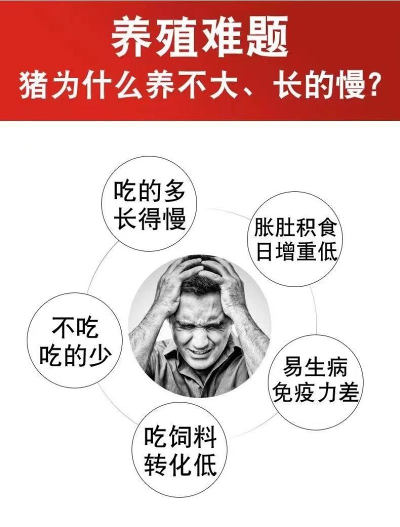 山楂原粉山楂粉酵母粉猪用开胃山楂粉山楂粉批发