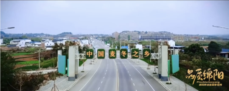 绵阳麦冬川麦冬包邮精品货产地直供自产自销