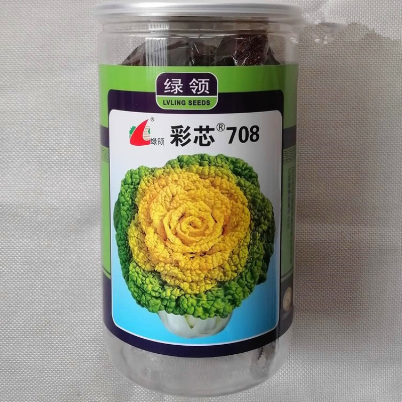 彩芯804乌塌菜种子株型矮小束腰外叶墨绿心叶微黄