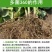 多菌改良剂360土壤修复剂复合微生物菌剂改善土壤通用型