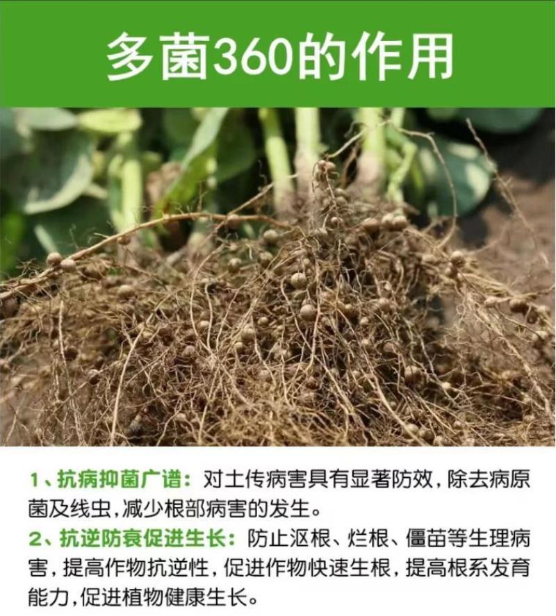 多菌改良剂360土壤修复剂复合微生物菌剂改善土壤通用型