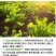 多菌改良剂360土壤修复剂复合微生物菌剂改善土壤通用型
