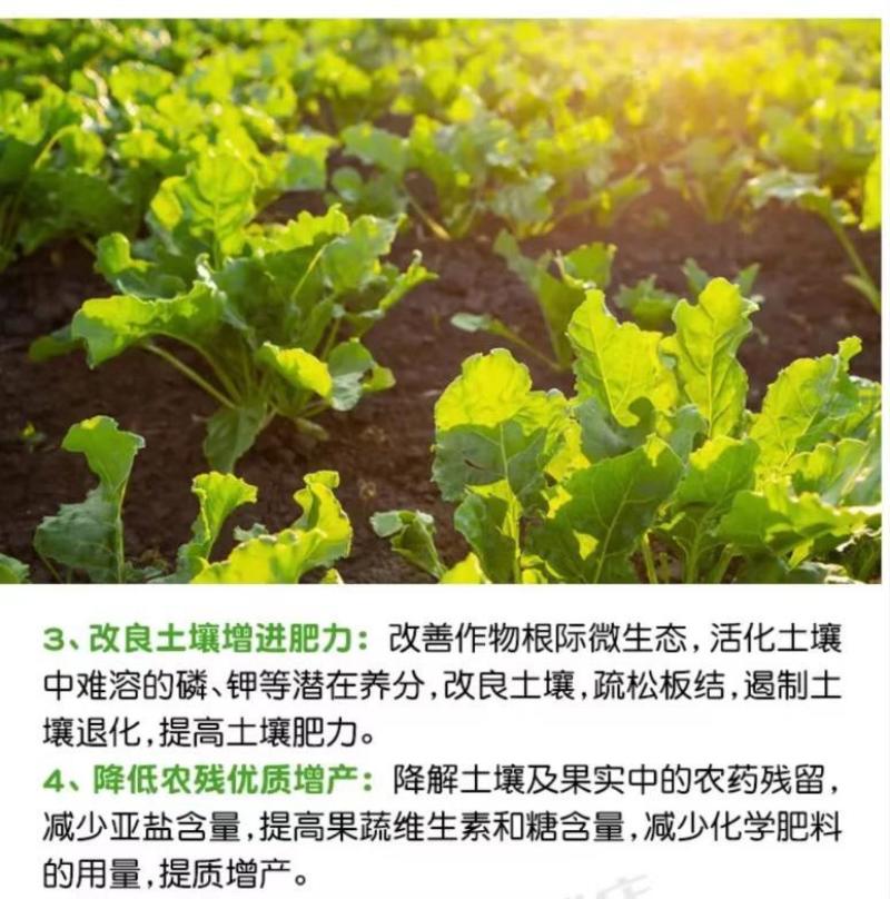 多菌改良剂360土壤修复剂复合微生物菌剂改善土壤通用型