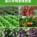 多菌改良剂360土壤修复剂复合微生物菌剂改善土壤通用型