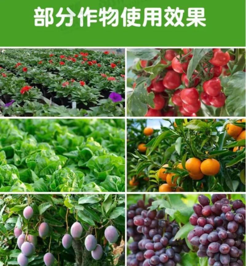 多菌改良剂360土壤修复剂复合微生物菌剂改善土壤通用型