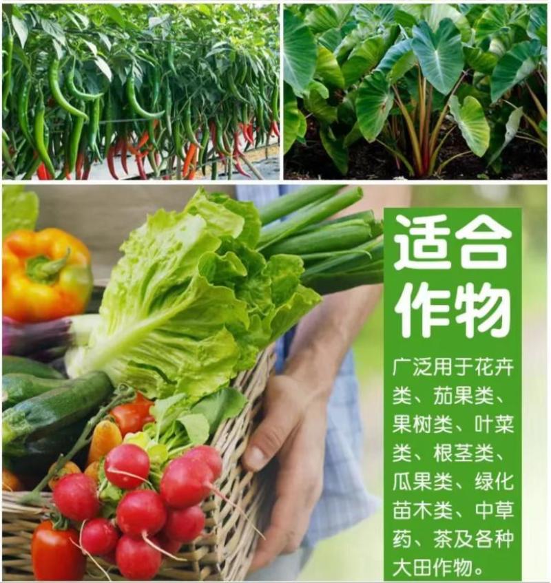 多菌改良剂360土壤修复剂复合微生物菌剂改善土壤通用型