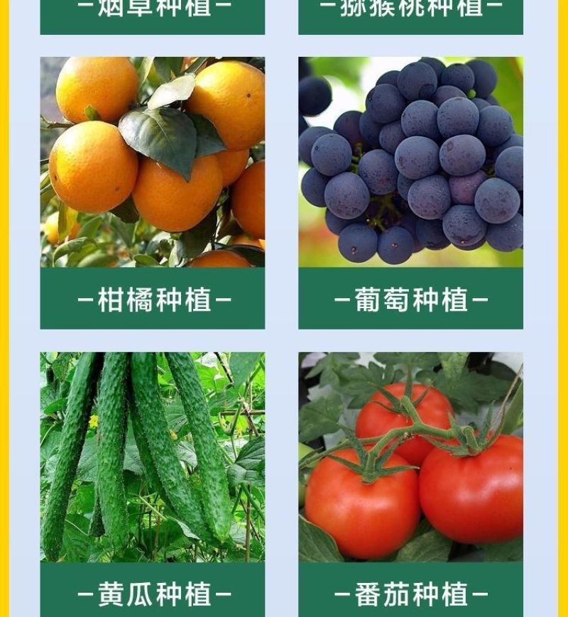 液体有机氮肥小麦玉米水稻快速补氮代替尿素提苗厚绿叶膨果肥