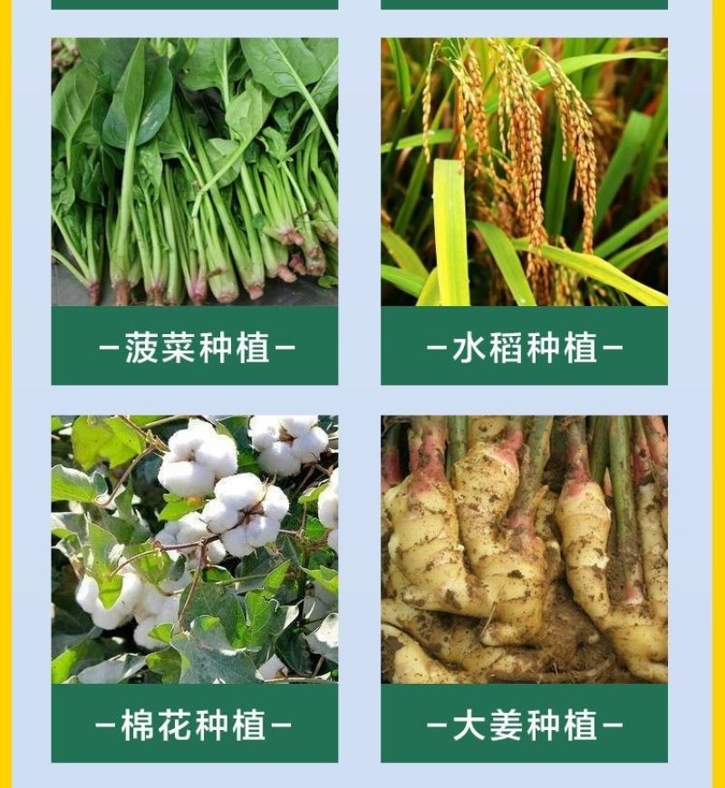 液体有机氮肥小麦玉米水稻快速补氮代替尿素提苗厚绿叶膨果肥