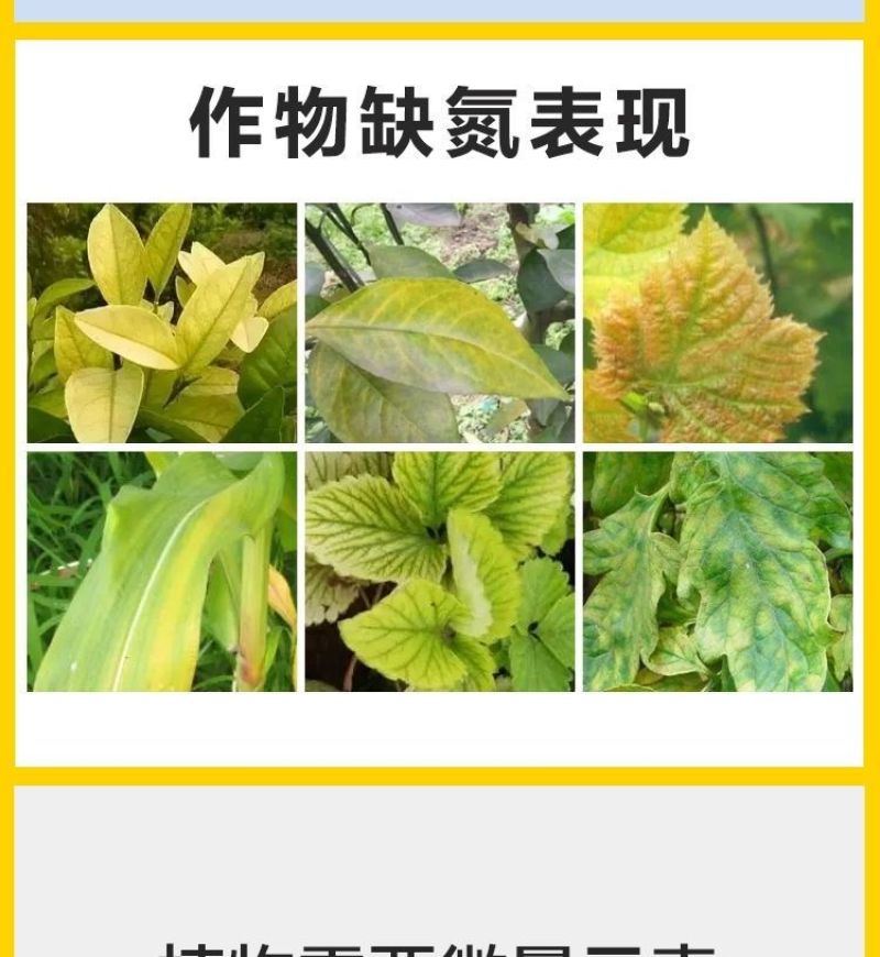 液体有机氮肥小麦玉米水稻快速补氮代替尿素提苗厚绿叶膨果肥