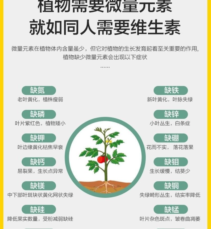 液体有机氮肥小麦玉米水稻快速补氮代替尿素提苗厚绿叶膨果肥