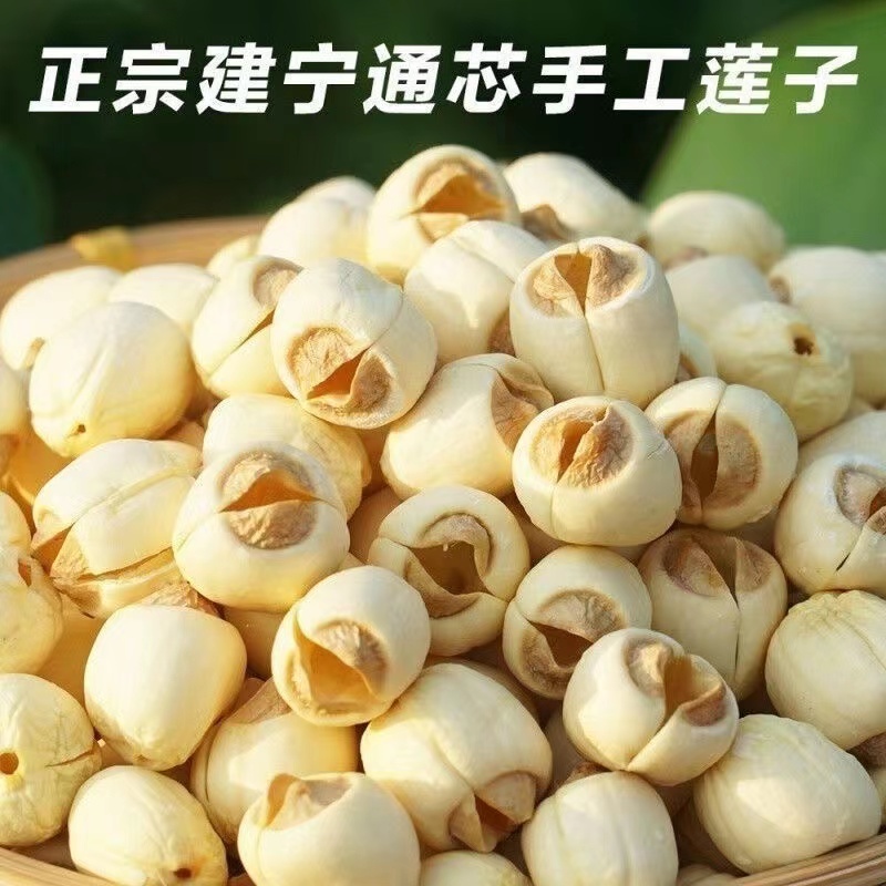 福建建宁白莲子优质白莲子大量现货欢迎各地老板电联